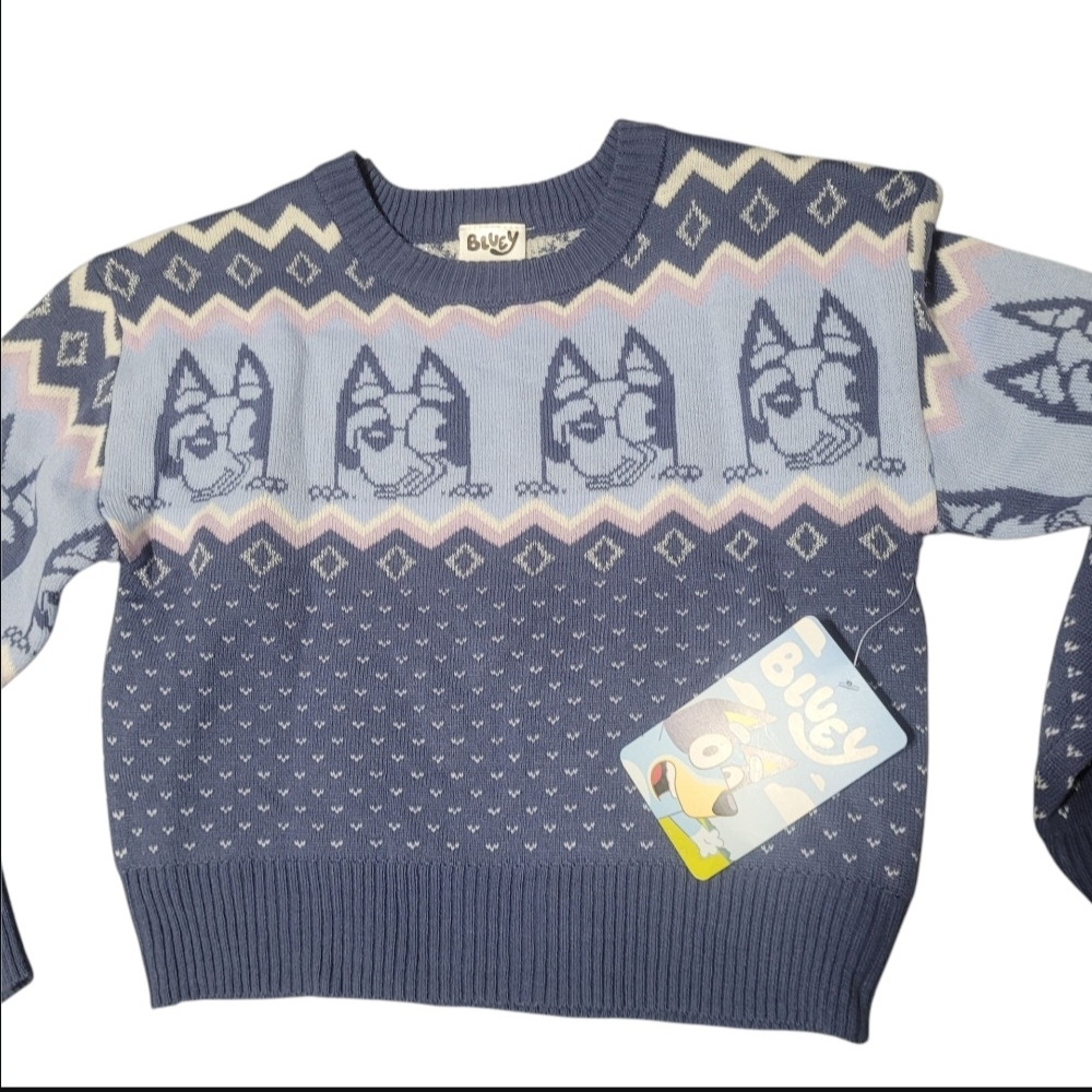 Bluey Patterned Sweater - Picture 3 of 3